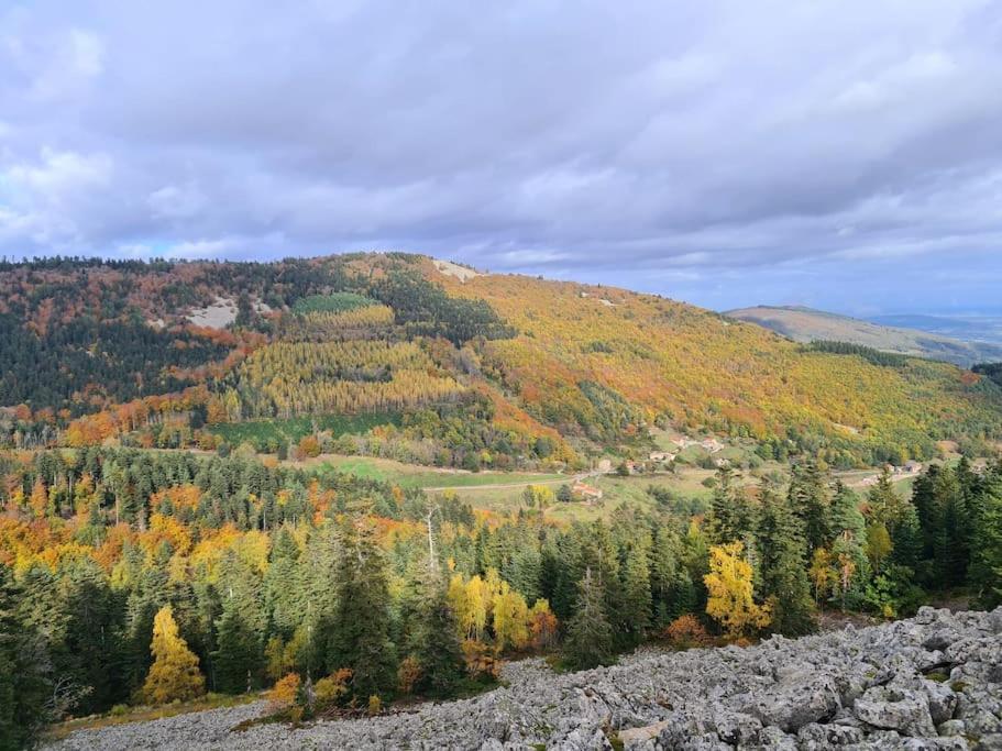 Gite De 70M² Avec Vue Sur Le Massif Du Pilat Clonas-sur-Vareze Luaran gambar