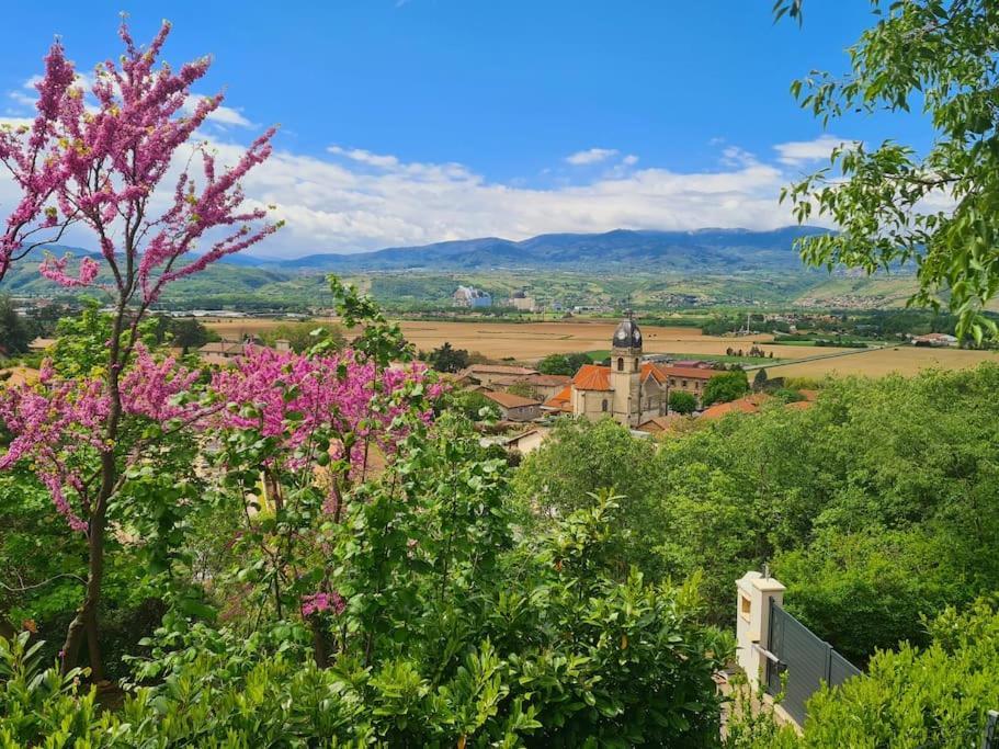 Gite De 70M² Avec Vue Sur Le Massif Du Pilat Clonas-sur-Vareze Luaran gambar